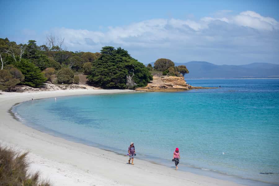 Hobart: Maria Island National Park Active Full-Day Tour - The 30-minute ferry crossing