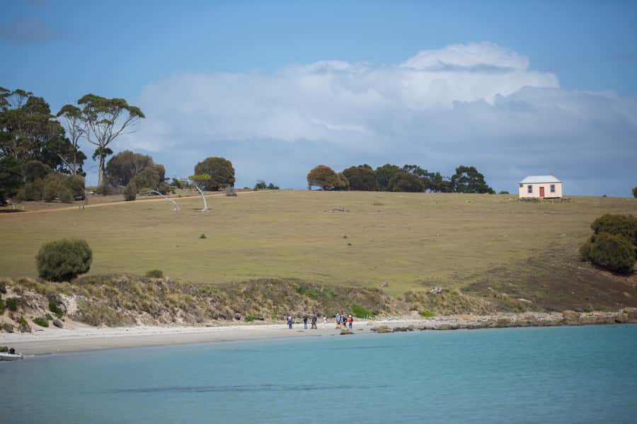 Hobart: Maria Island National Park Active Full-Day Tour - Wildlife is the day’s greatest surprise