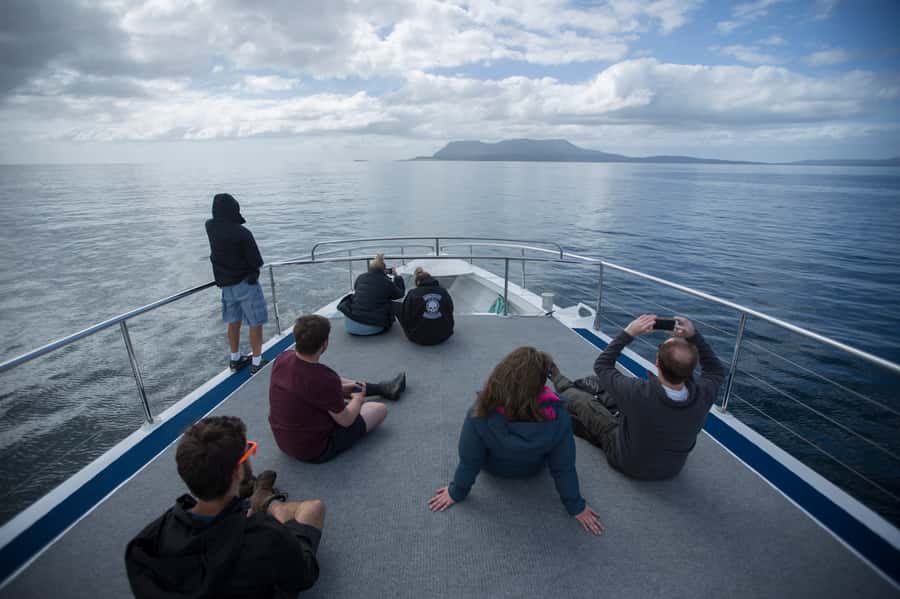 Hobart: Maria Island National Park Active Full-Day Tour - How the small-group format affects the experience