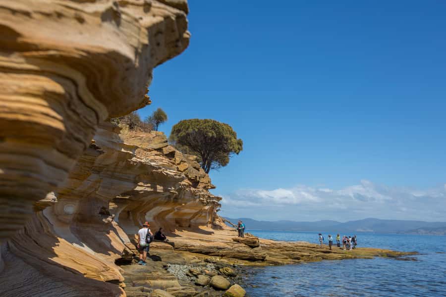 Hobart: Maria Island National Park Active Full-Day Tour - The early Hobart start and road to the ferry
