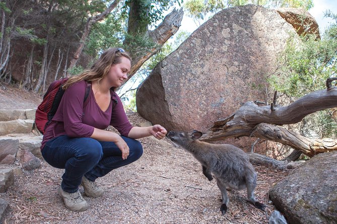 Hobart: Wineglass Bay & Freycinet National Park - Active Day Tour - The beach option: beautiful, but a real workout