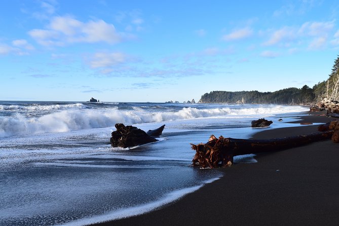 Hoh Rain Forest and Rialto Beach Guided Tour in Olympic National Park - A practical 20-minute stop in Forks