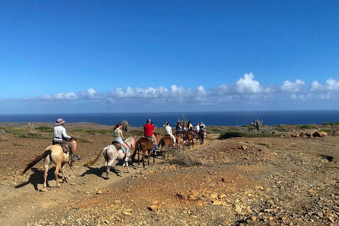 Horseback Ride Tour to Natural Pool in Arikok National Park - Reaching Conchi Natural Pool by horse