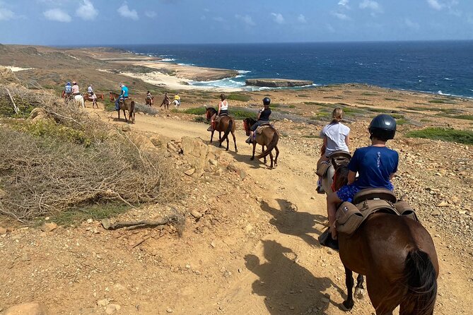 Horseback Ride Tour to Natural Pool in Arikok National Park - What the three-hour schedule really means
