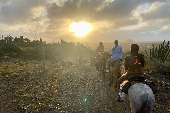 Horseback Ride Tour to Natural Pool in Arikok National Park - Is $155 a fair price?