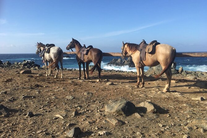Horseback Ride Tour to Natural Pool in Arikok National Park - How to prepare for heat, water, and saddle time