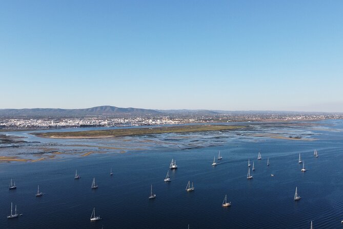 Islands Tour: Half Day Cruise in Ria Formosa Natural Park - Who should book this cruise?