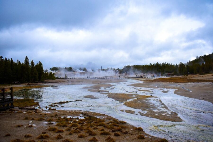Jackson: 2-Day Yellowstone National Park Tour with Lunches - Day two: wildlife valleys, waterfalls, and Lake Yellowstone