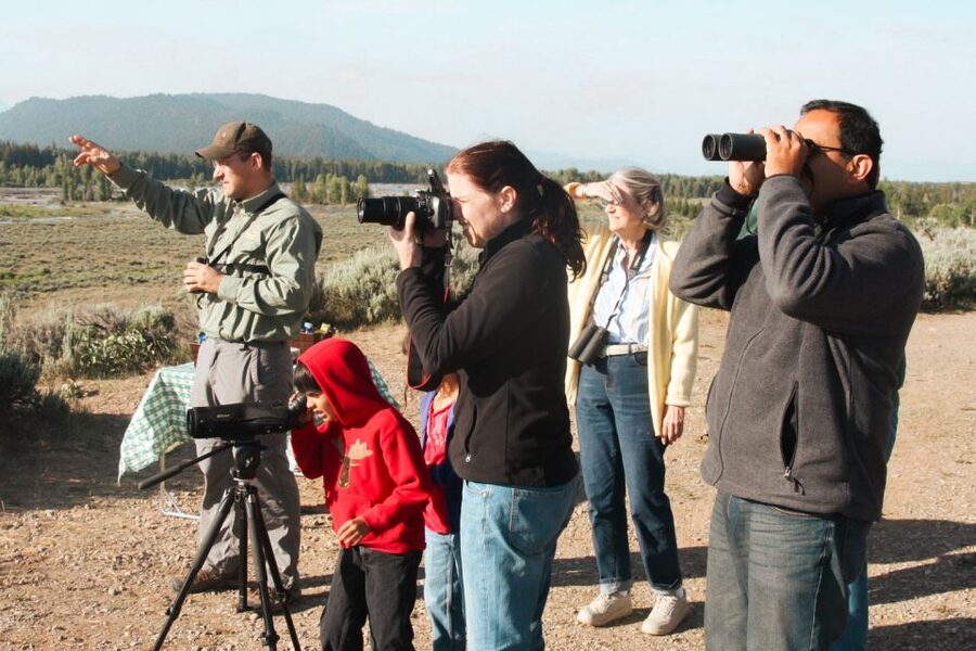 Jackson: Grand Teton National Park Guided Wildlife Tour - What you learn between sightings