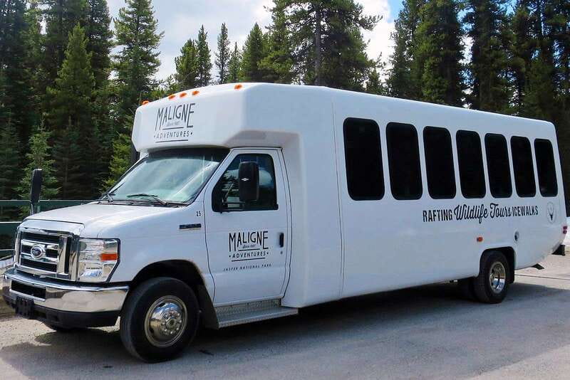 Jasper National Park: Evening or Morning Wildlife Watch Tour - Pickup details that can save you stress