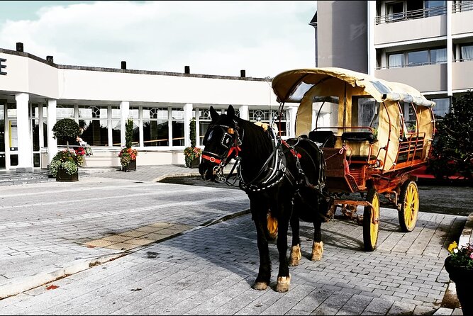 Jaunting Car Tour in Killarney National Park - Meeting the carriage near Castlelough