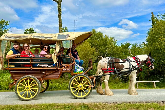 Jaunting Car Tour in Killarney National Park - Is $66.54 good value?