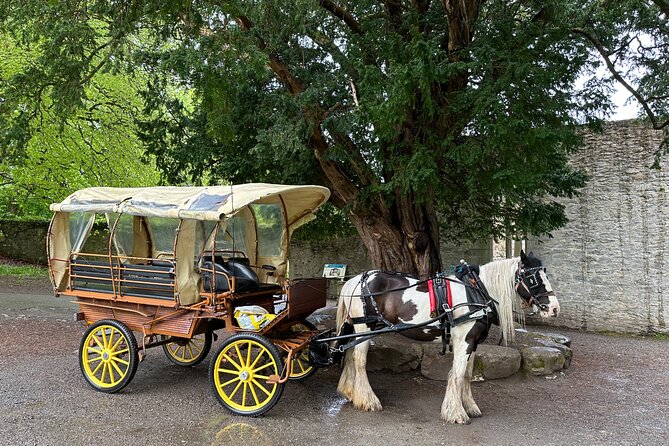 Jaunting Car Tour in Killarney National Park - Who should book this Killarney ride?
