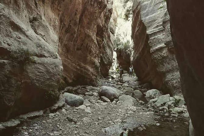 Jeep Safari to Akamas National Park: Avakas Gorge Tour from Paphos - Lara Bay and the turtle conservation station