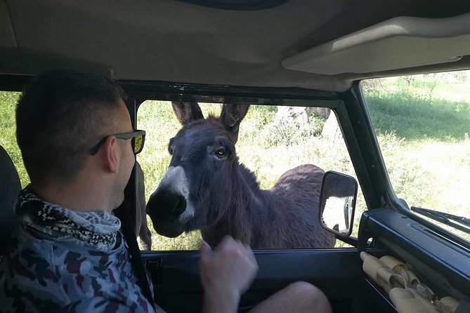Jeep Safari to Akamas National Park: Avakas Gorge Tour from Paphos - The Baths of Aphrodite: pretty, brief, and easy to overrate