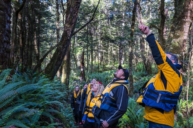 Jet Boat Journey through Fiordland National Park - Pure Wilderness - Reaching Lake Manapouri
