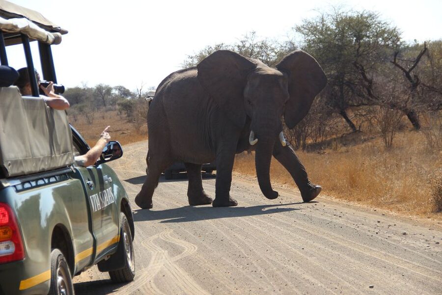 Johannesburg: 3-Day Classic Kruger National Park Safari Tour - Day three: sunrise, breakfast, and the Three Rondavels