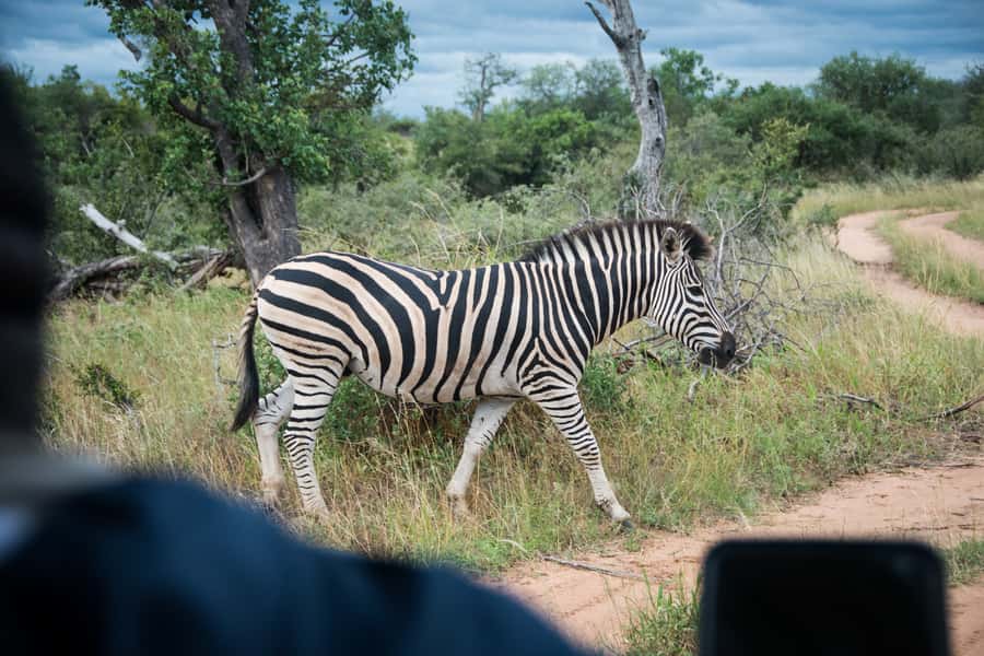 Johannesburg: 3-Day Classic Kruger National Park Safari Tour - Accommodation, meals, and daily comfort