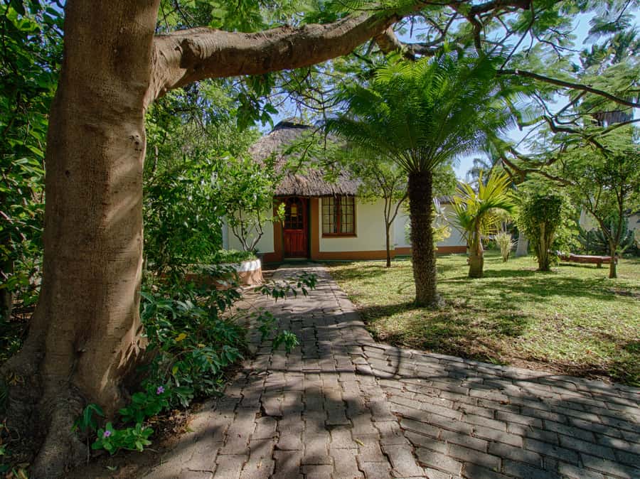 Johannesburg: 3-Day Classic Kruger National Park Safari Tour - Who should book this safari?