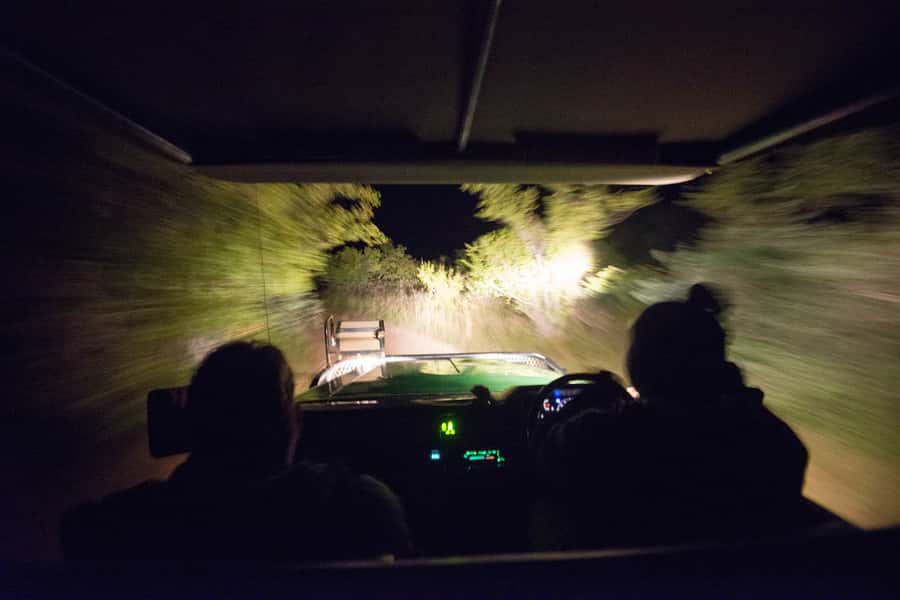 Johannesburg: 4-Day Classic Kruger National Park Safari - Six things to know before booking