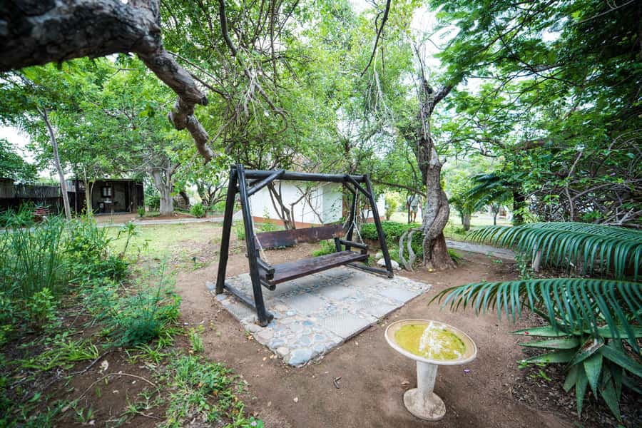 Johannesburg: 4-Day Classic Kruger National Park Safari - Day four: sunrise, canyon views, and the road home