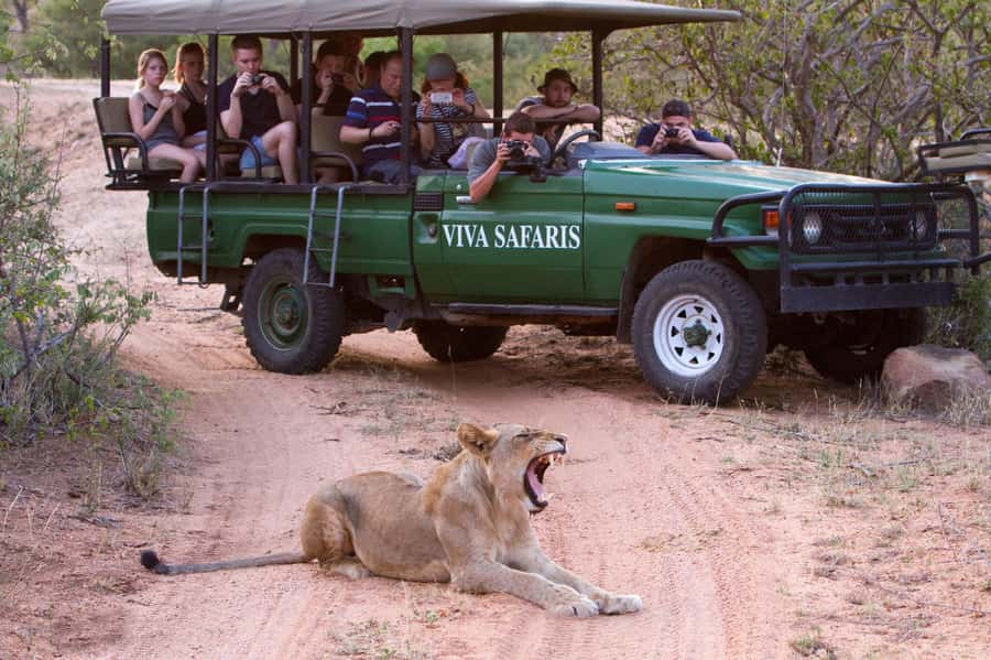 Johannesburg: 4-Day Classic Kruger National Park Safari - Day one: from Johannesburg to Balule