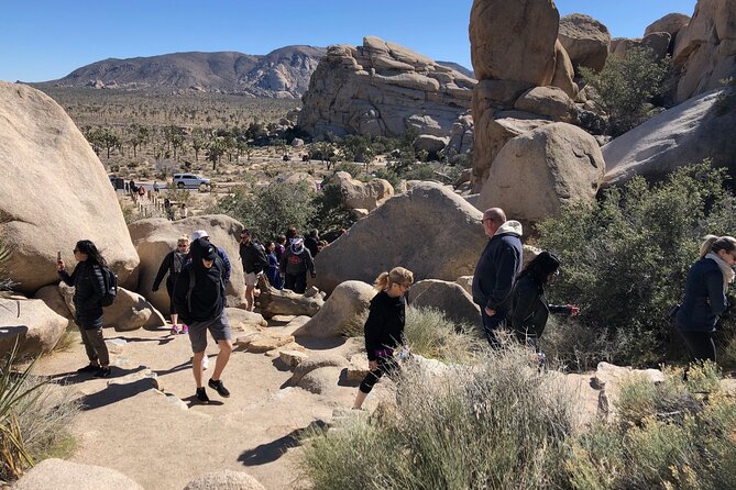 Joshua Tree National Park Driving Tour - What the five-hour Joshua Tree tour is really like