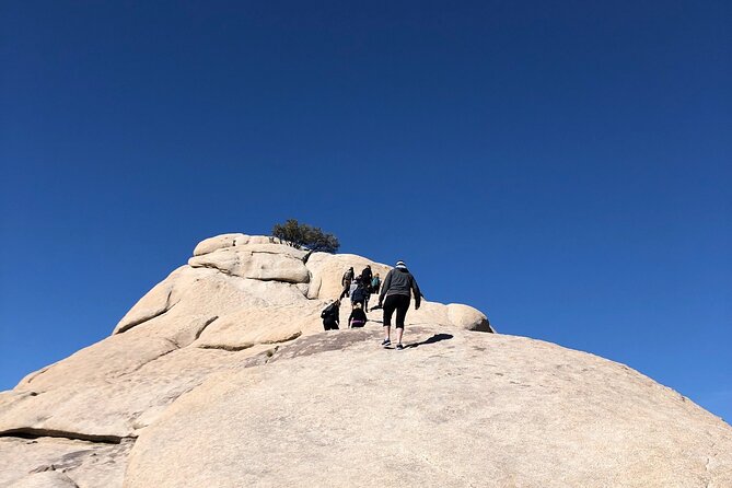 Joshua Tree National Park Driving Tour - Hidden Valley for a short walk
