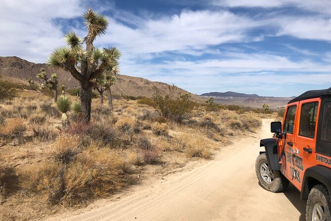 Joshua Tree National Park Offroad Tour - A good choice for families, with sensible limits