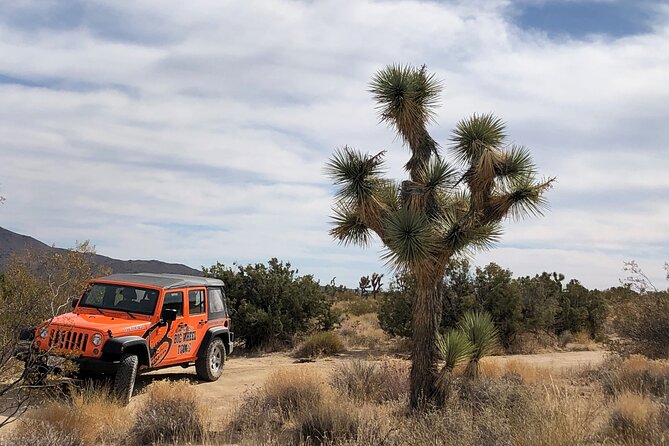 Joshua Tree National Park Offroad Tour - Is $220 a fair price?