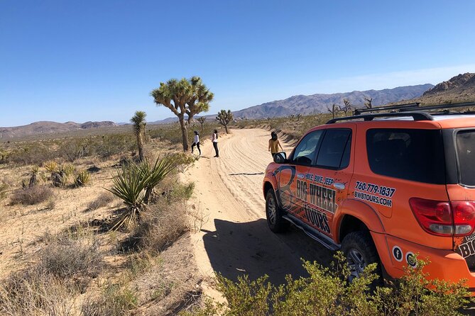 Joshua Tree National Park Offroad Tour - Three hours inside a huge national park