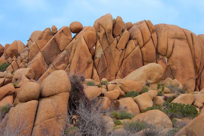 Joshua Tree National Park Scenic Tour - From Palm Springs to Joshua Tree in a small group