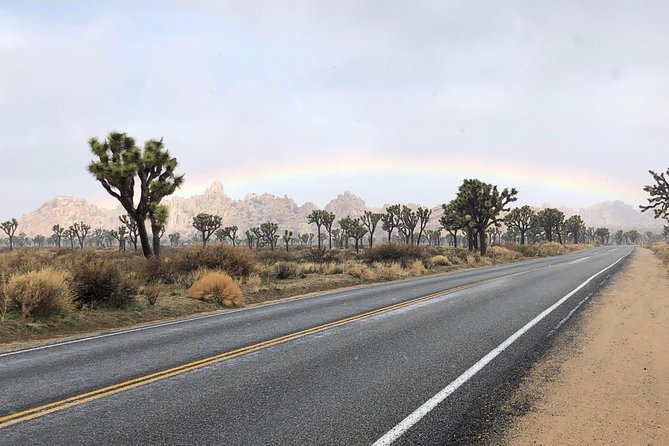 Joshua Tree National Park Scenic Tour - Keys View: the biggest view and the sharpest temperature change
