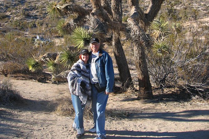Joshua Tree National Park Scenic Tour - What the guides add to the experience