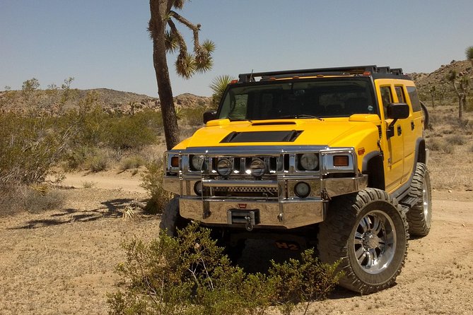 Joshua Tree National Park Scenic Tour - Van or Hummer: know what you are booking
