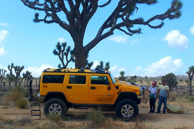 Joshua Tree National Park Scenic Tour - Why Joshua Tree is more than its namesake trees