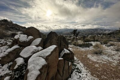 Joshua Tree National Park Self-Guided Driving Audio Tour