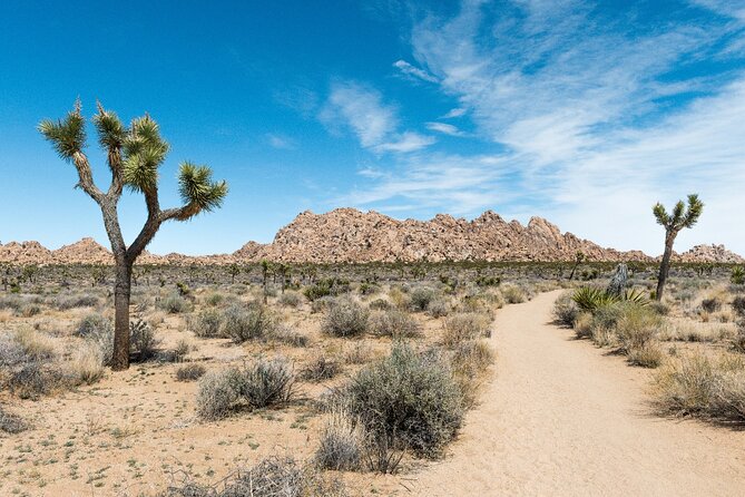Joshua Tree National Park Self-Guided Driving Audio Tour - Lost Horse Valley and the old gold mines
