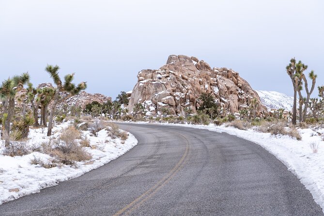 Joshua Tree National Park Self-Guided Driving Audio Tour - Skull Rock, stargazing, and the final visitor center