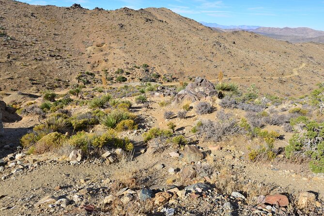 Joshua Tree National Park Self-Guided Driving Audio Tour - What the $16.99 price really buys you