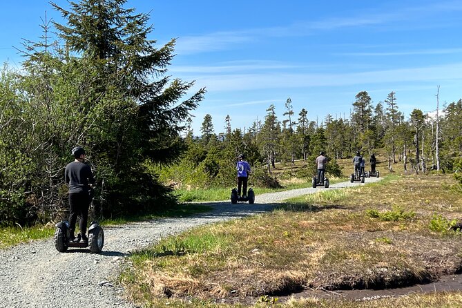 Juneau Alpine Segway Wilderness Trail Adventure - Who will enjoy this most?