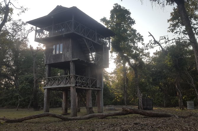 Jungle Towernight Stay In Chitwan National Park ,nepal-2 Nights 3 Days Package - What the meals and lodging really add