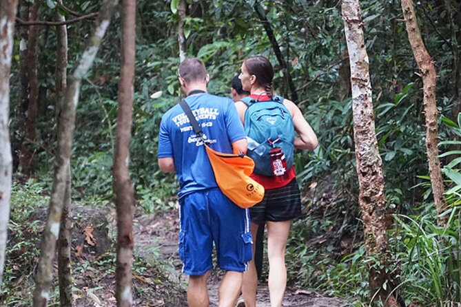 Jungle Trekking Tour at Phnom Kulen National Park from Siem Reap - Why Phnom Kulen makes a good break from temple touring
