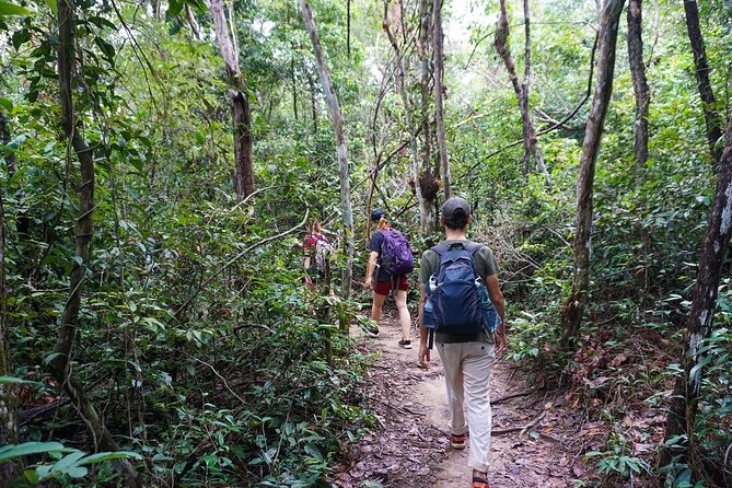 Jungle Trekking Tour at Phnom Kulen National Park from Siem Reap - Preah Ang Choub Pagoda begins the forest walk