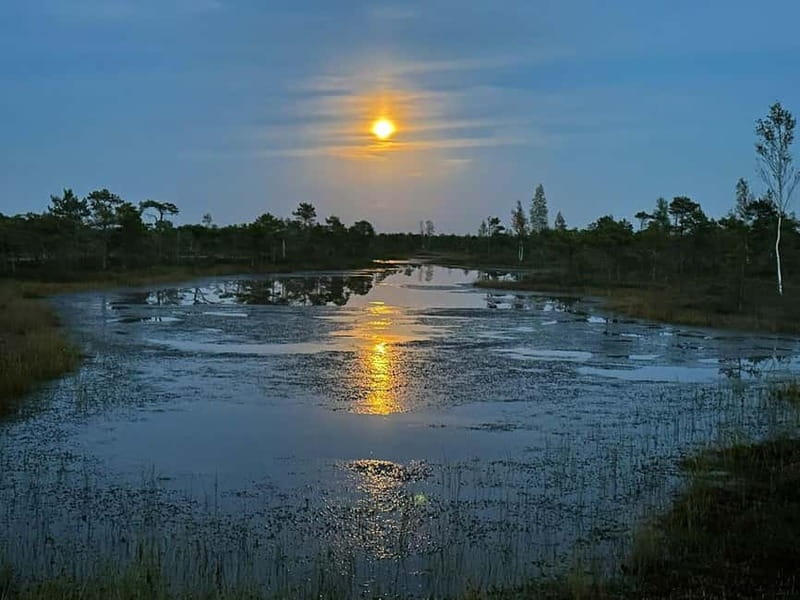 Jurmala: Kemeri National Park Sunset Trip - Meeting at St. Peter’s Church