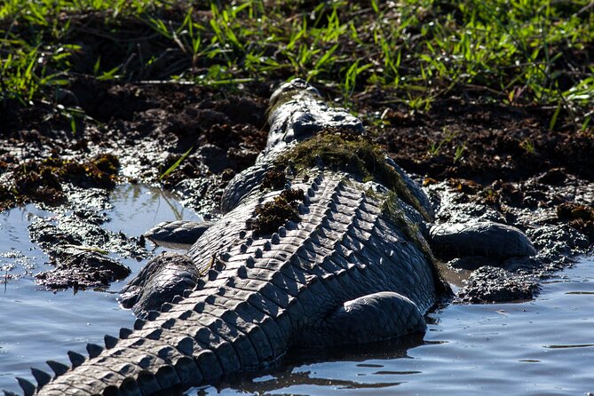 Kakadu National Park Wildlife & Ubirr Rock Art Tour from Darwin - What makes this Kakadu day trip worth considering