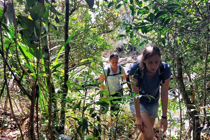 Kampot Day Tour "Bokor National Park" - Wat Sampov Pram and its hilltop views