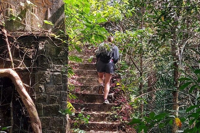 Kampot Day Tour "Bokor National Park" - The guide can make or break the morning