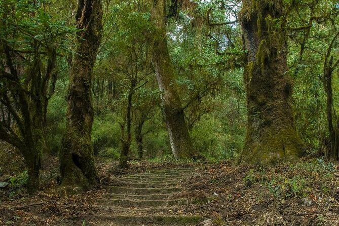 Kathmandu Shivapuri National Park and Nagarkot Hiking - 3 Days - Walking through Shivapuri National Park