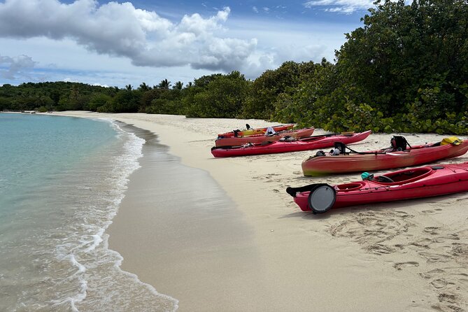 Kayak & Snorkel with Sea Turtles, National Park, St. John - Snorkeling over seagrass and coral